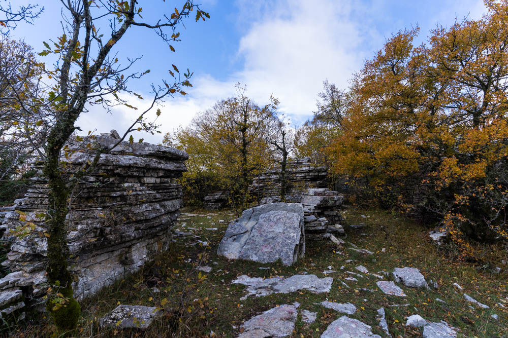 Steinwald - es sind mehrere Steinformationen in einem herbstlich gefärbten Wald zu sehen.