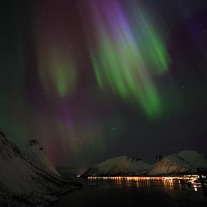 Nordlichter auf Senja (Norwegen) fotografiert. Es tanzen blaue, grüne sowie violette Lichter am Himmel, welcher voller Sterne ist. Blick auf Fjord - Skandinavien im Winter.