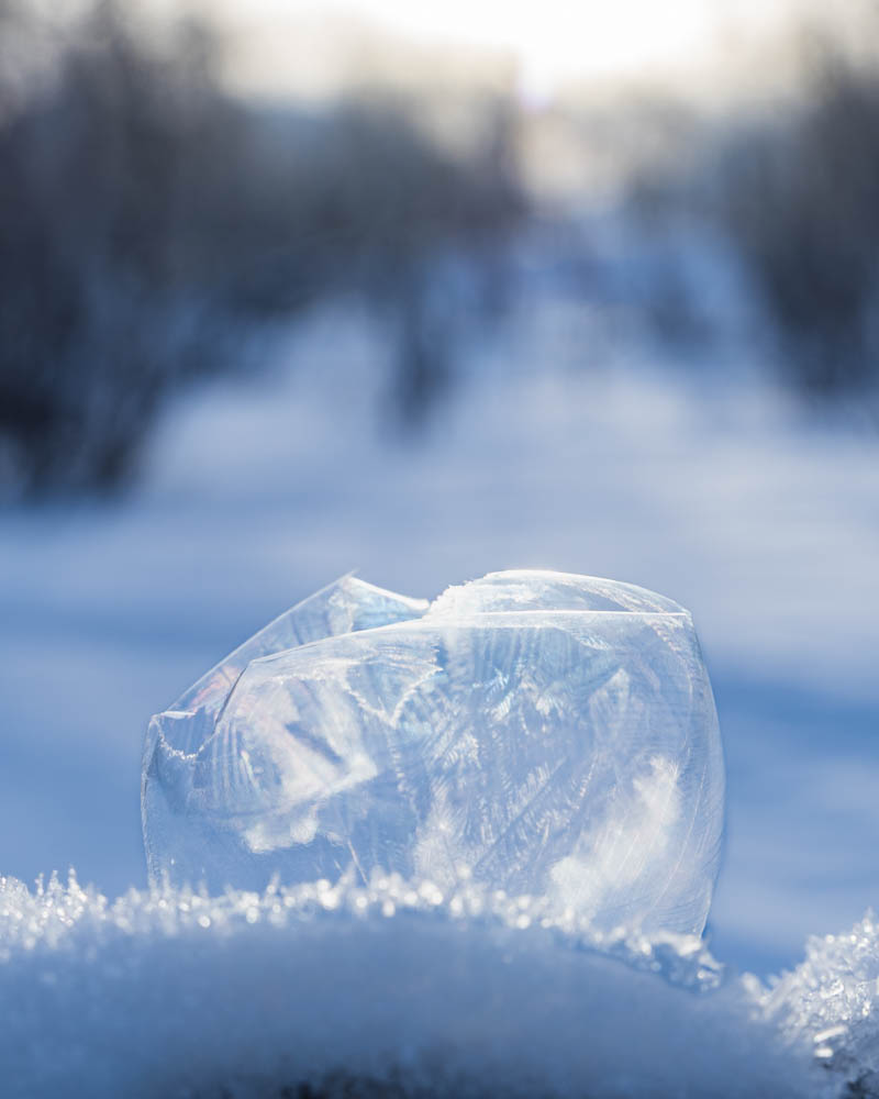 Vereiste Seifenblase im Abisko Nationalpark. Die Blase liegt auf einem Holzscheid voller Schnee und die Eiskristalle sind gut zu erkennen