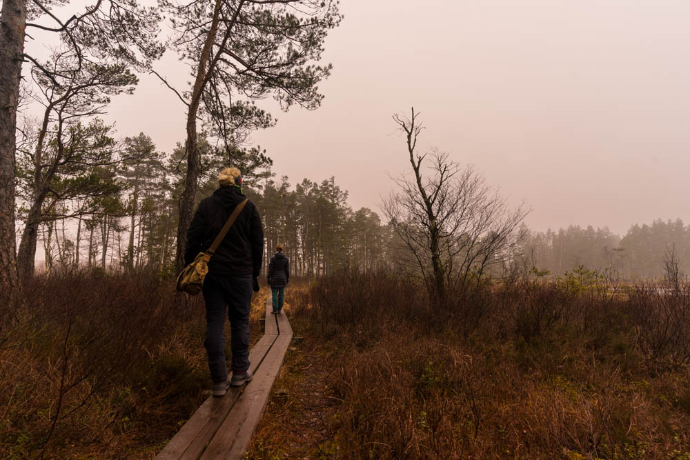 Melanie und Julian auf einem Holzsteg im Store Mosse Nationalpark in Schweden bei Nebel und mystischer Stimmung.