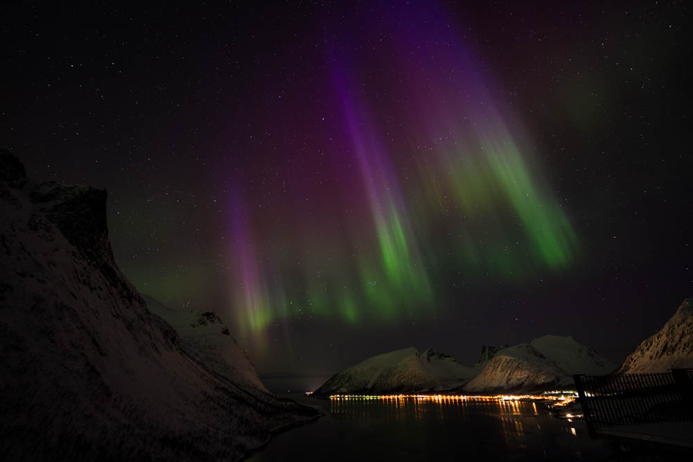 Tourengehen und Nordlichter auf Senja. Violette und grüne Aurora Borealis über Fjord auf Norwegens zweitgrößter Insel Senja