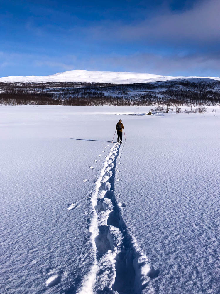 Blauer Himmel und Winterwonderland in Norwegen, Senja. Julian wandert mit den Schneeschuhen durch Neuschnee