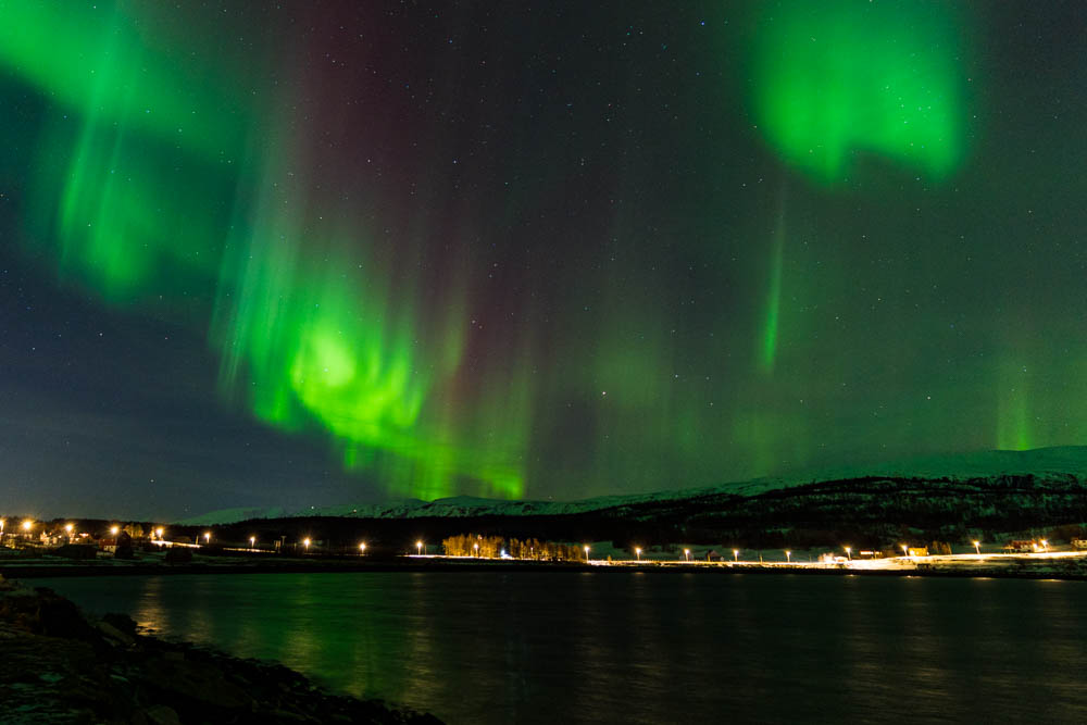 Faszination Nordlichter im Lyngenfjord in Norwegen. Grüne und violette Lichter tanzen über dem Fjord