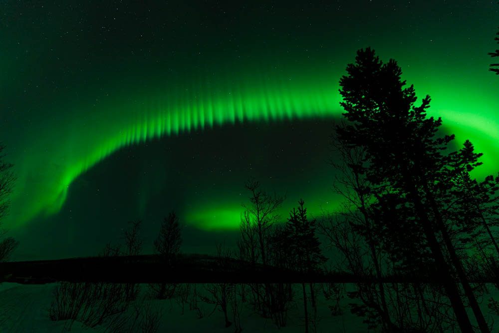 Lyngenalpen Aurora Borealis. Ein grüner Schweif Polarlichter ist über einem Wald zu sehen